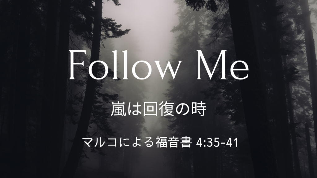 嵐は回復の時